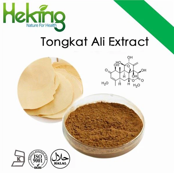 Eurycoma Longifolia Jack Ekstrakt