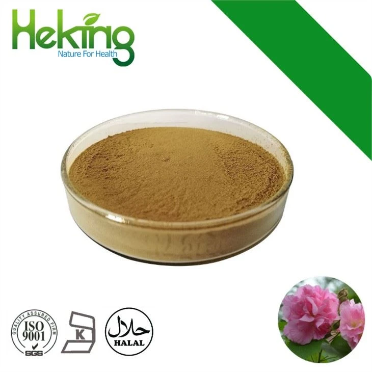 Ekstrakt cvijeta hibiskusa