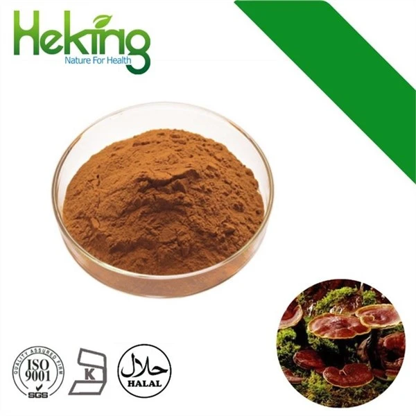 Reishi Puder od gljiva